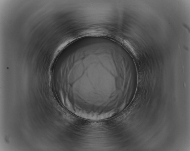 X0000091641419200709131422