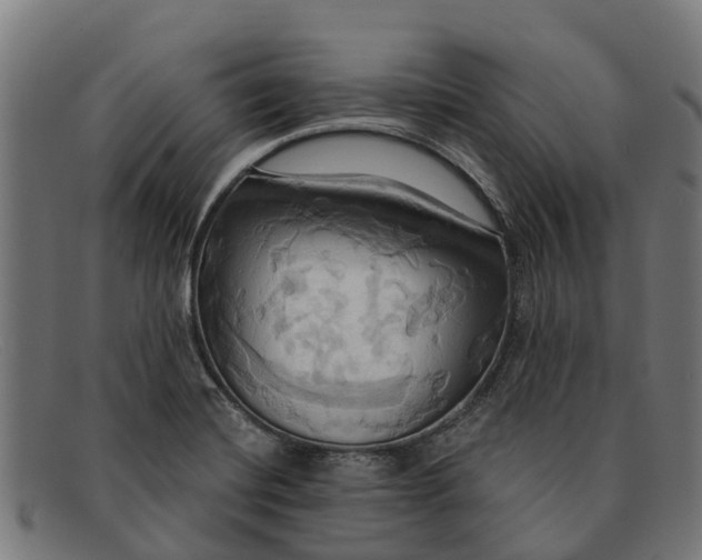 X0000091641420200709131422