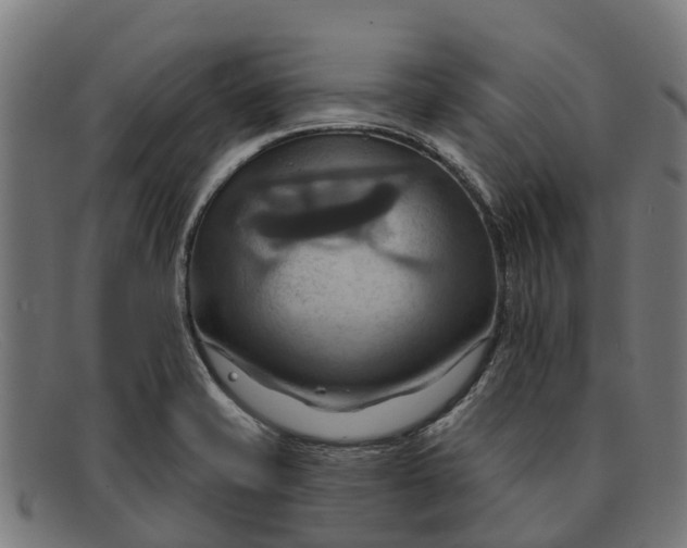 X0000091641421200709131422