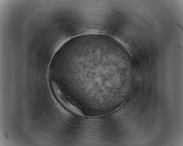 X0000091641423200709131422