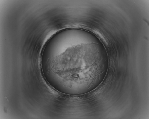 X0000091641424200709131422