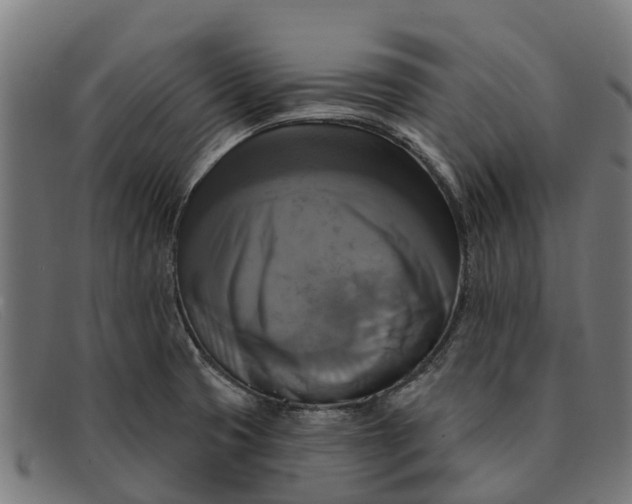 X0000091641425200709131422