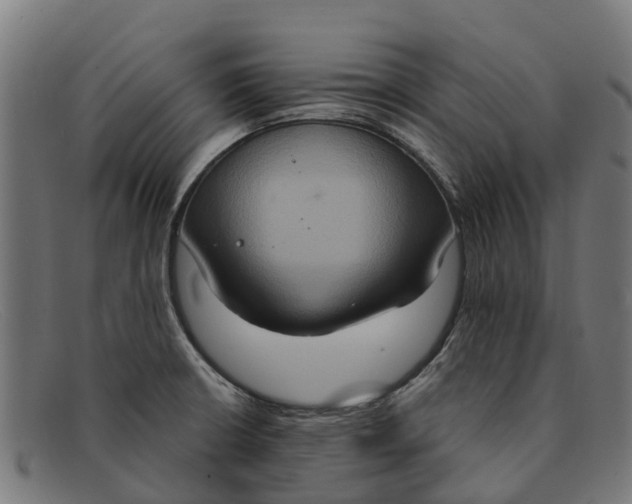 X0000091641426200709131422