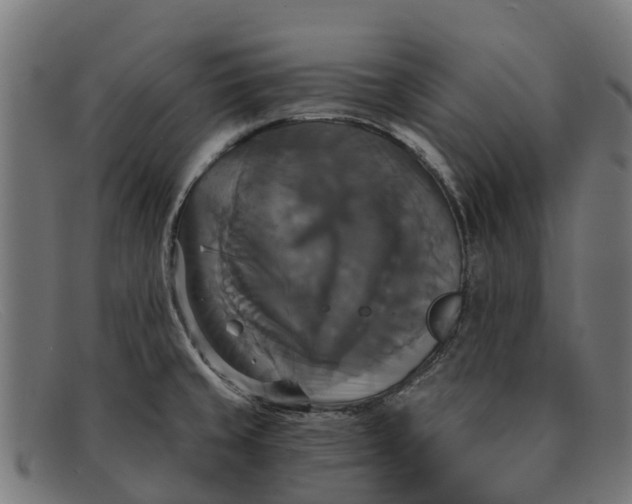 X0000091641429200709131422