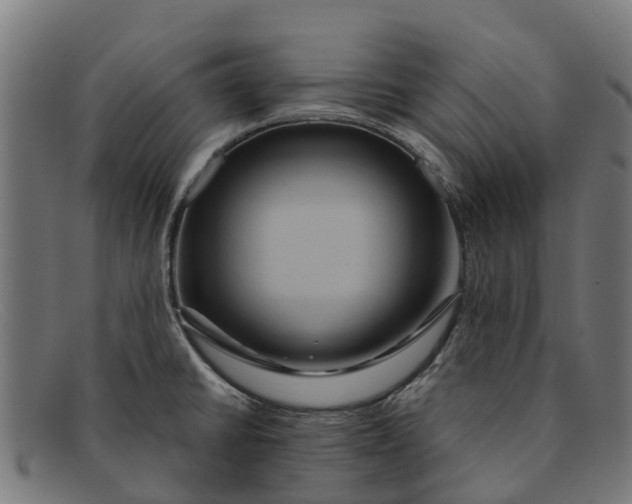 X0000091641430200709131423
