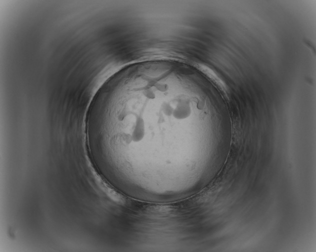 X0000091641431200709131423