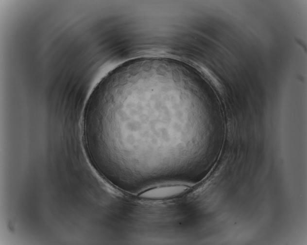 X0000091641432200709131423