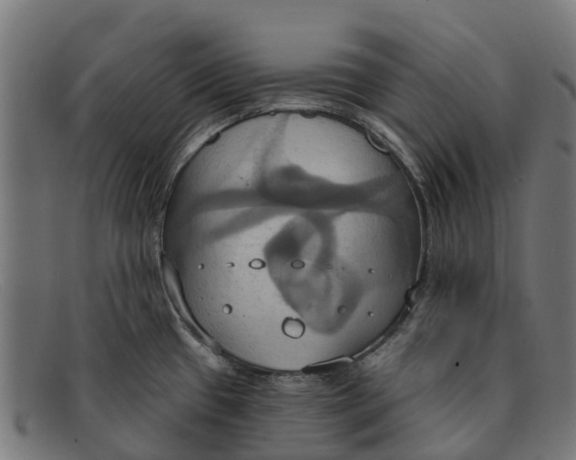 X0000091641433200709131423