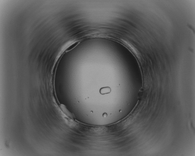 X0000091641434200709131423