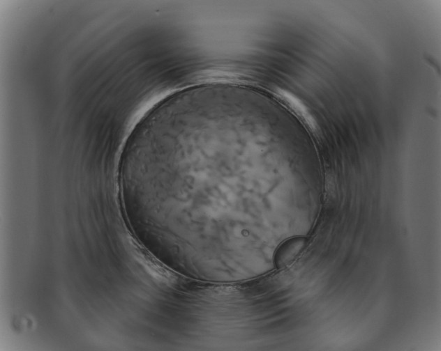 X0000091641435200709131423