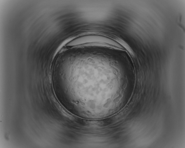 X0000091641436200709131423