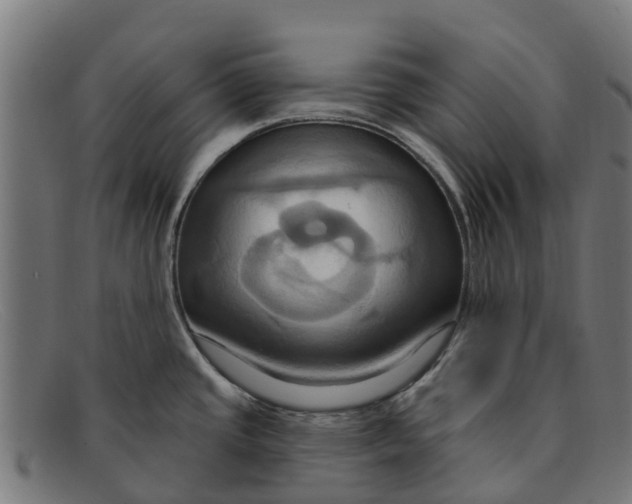 X0000091641437200709131423
