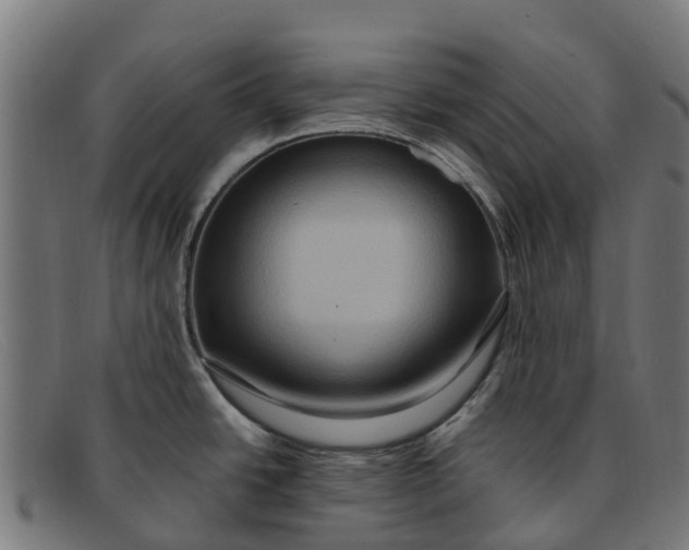 X0000091641438200709131423