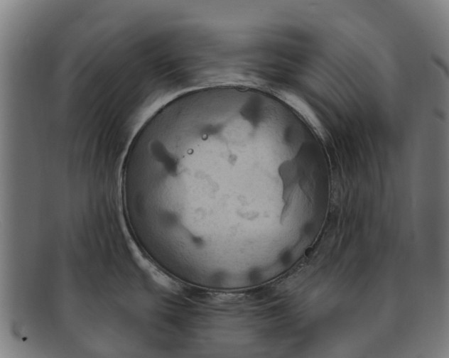 X0000091641439200709131423