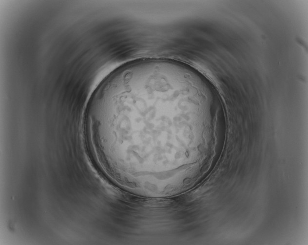 X0000091641440200709131423