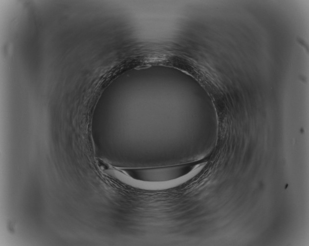 X0000091641441200709131422