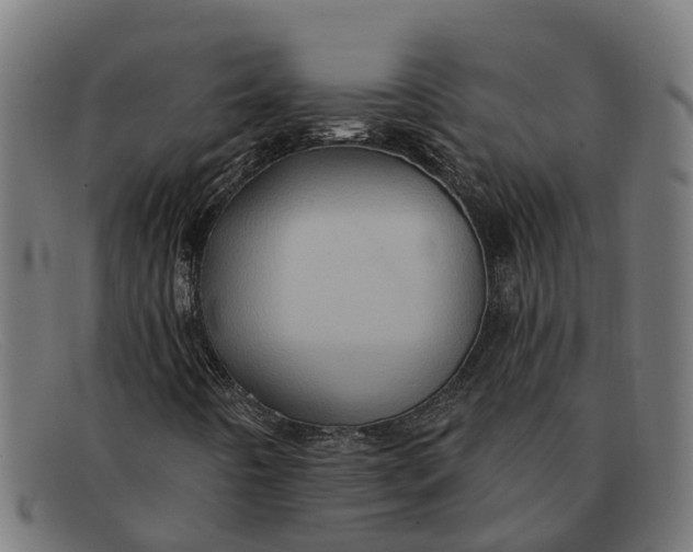 X0000091641442200709131422