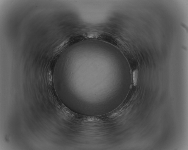 X0000091641443200709131422