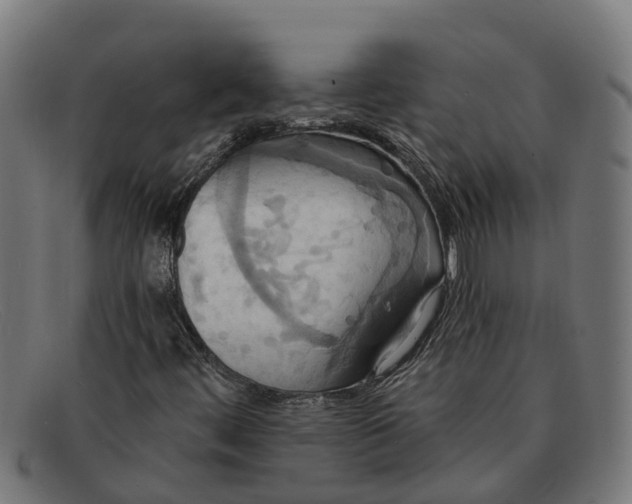 X0000091641444200709131422