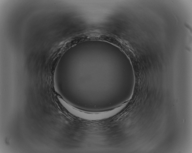 X0000091641445200709131422
