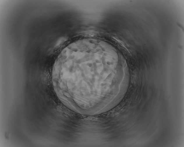 X0000091641446200709131422