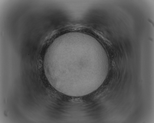 X0000091641447200709131422