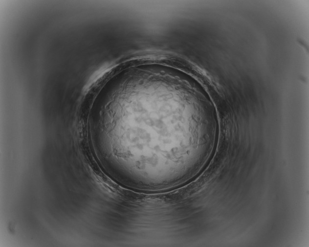 X0000091641448200709131422