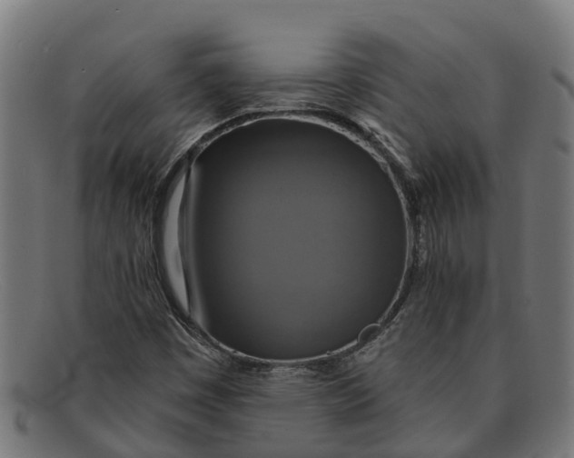 X0000091641449200709131422