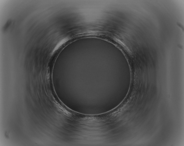X0000091641450200709131422
