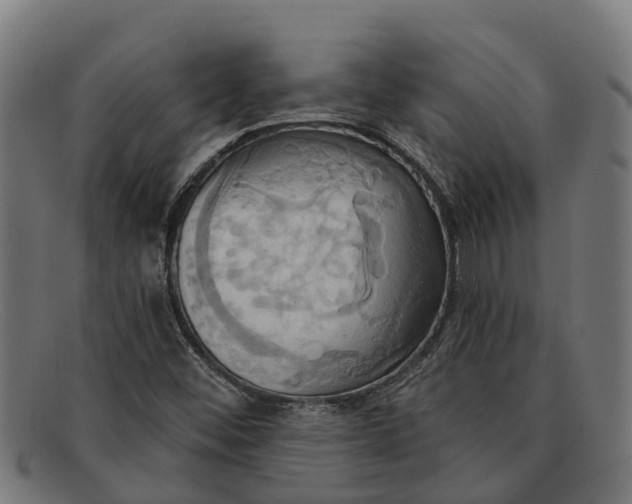 X0000091641452200709131422