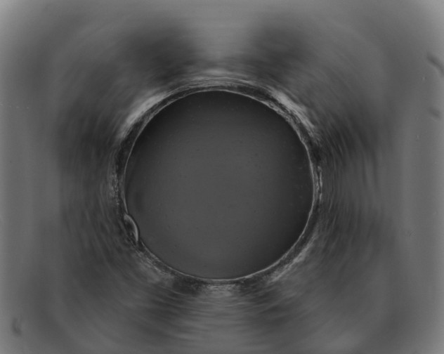 X0000091641453200709131422