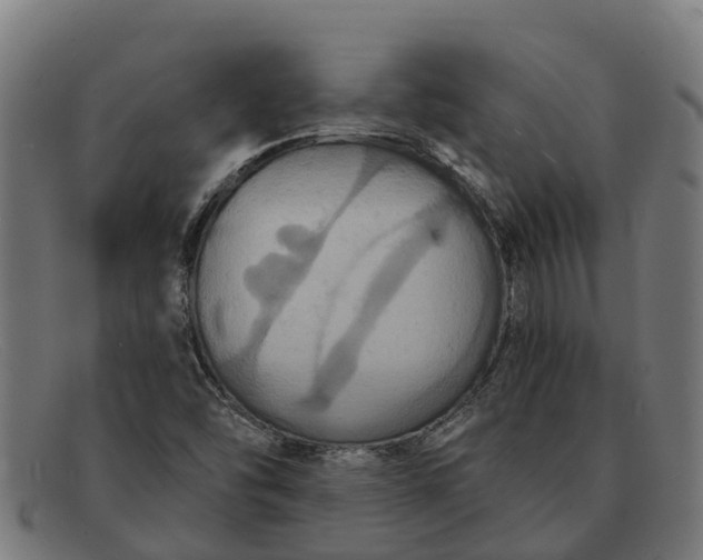 X0000091641454200709131422
