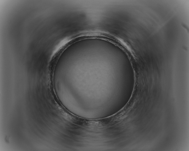 X0000091641456200709131422