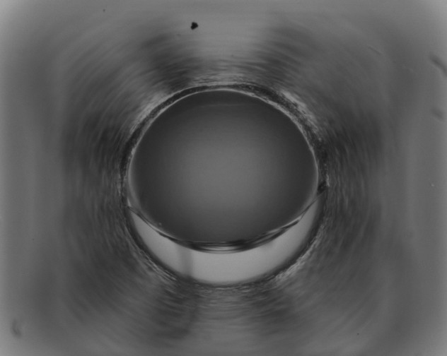 X0000091641457200709131422