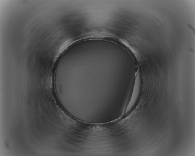 X0000091641459200709131422