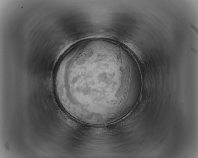 X0000091641460200709131422