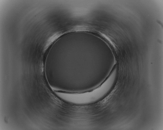 X0000091641461200709131422
