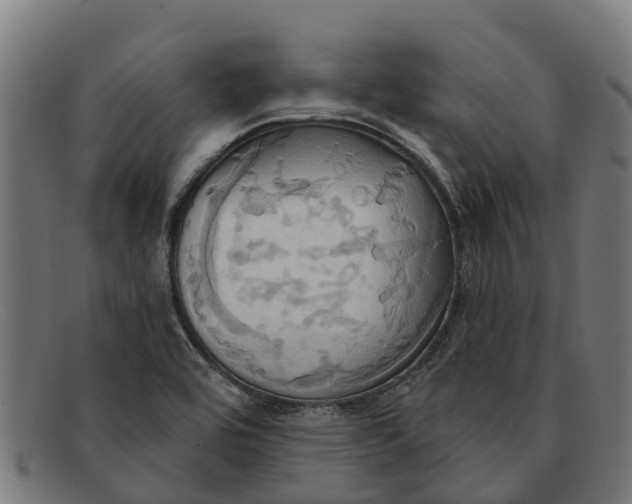 X0000091641464200709131422