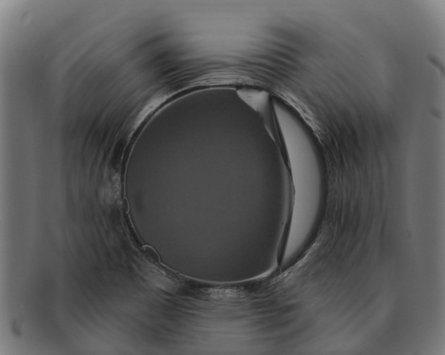 X0000091641465200709131422