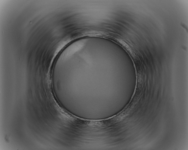 X0000091641466200709131422