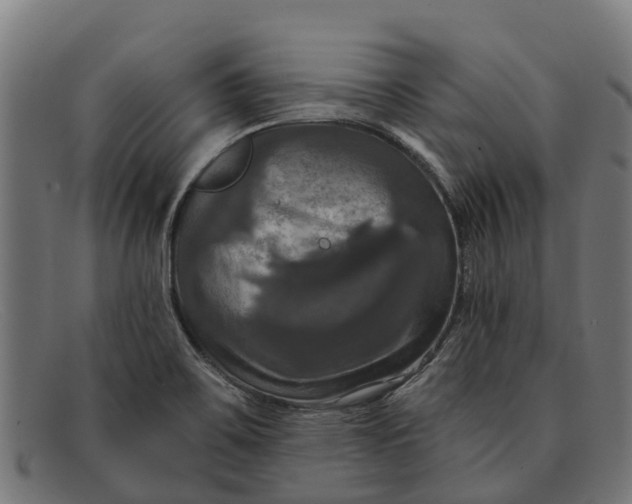 X0000091641467200709131422