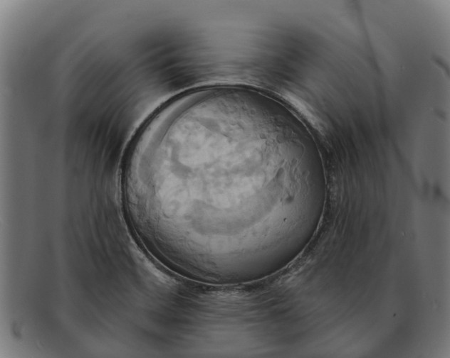 X0000091641468200709131422