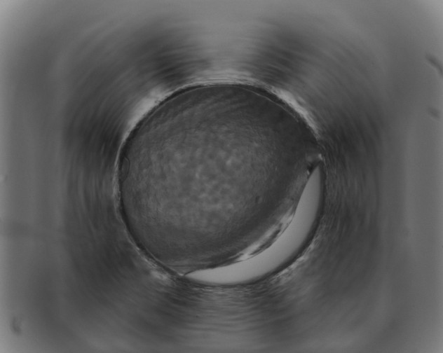 X0000091641469200709131422