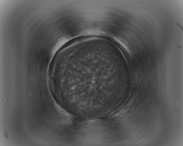 X0000091641471200709131422