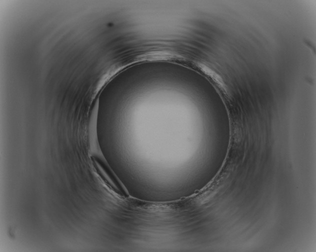 X0000091641473200709131422