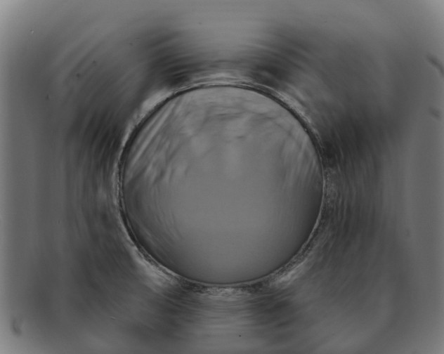 X0000091641474200709131422