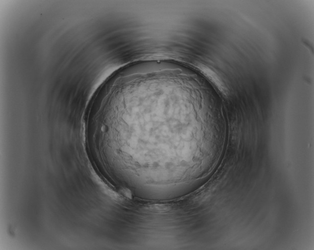 X0000091641476200709131422