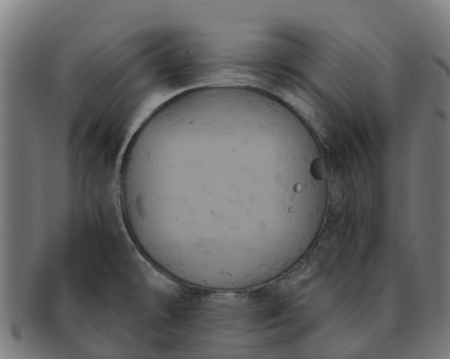 X0000091641478200709131422
