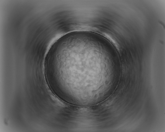 X0000091641480200709131422