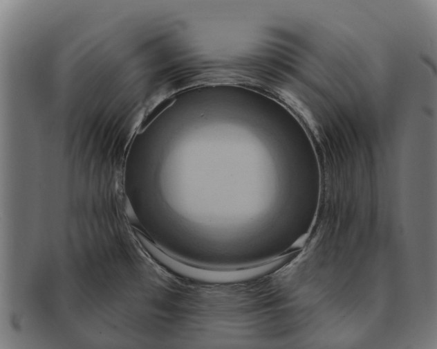 X0000091641481200709131422